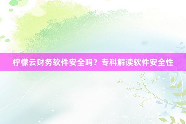 柠檬云财务软件安全吗？专科解读软件安全性