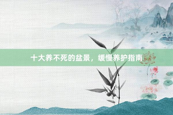 十大养不死的盆景，缓慢养护指南