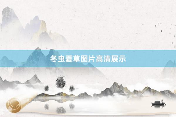 冬虫夏草图片高清展示