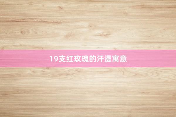 19支红玫瑰的汗漫寓意