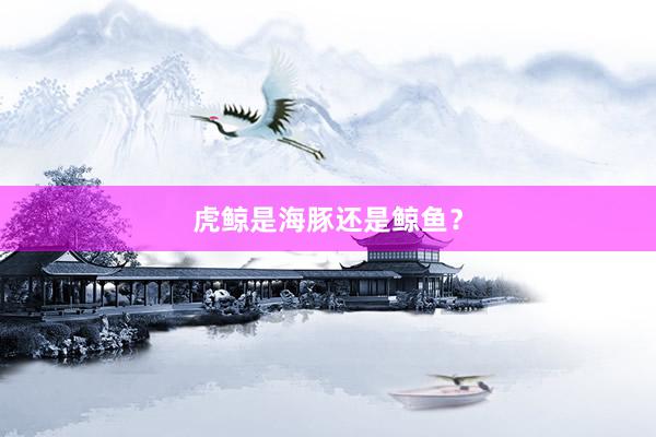 虎鲸是海豚还是鲸鱼？